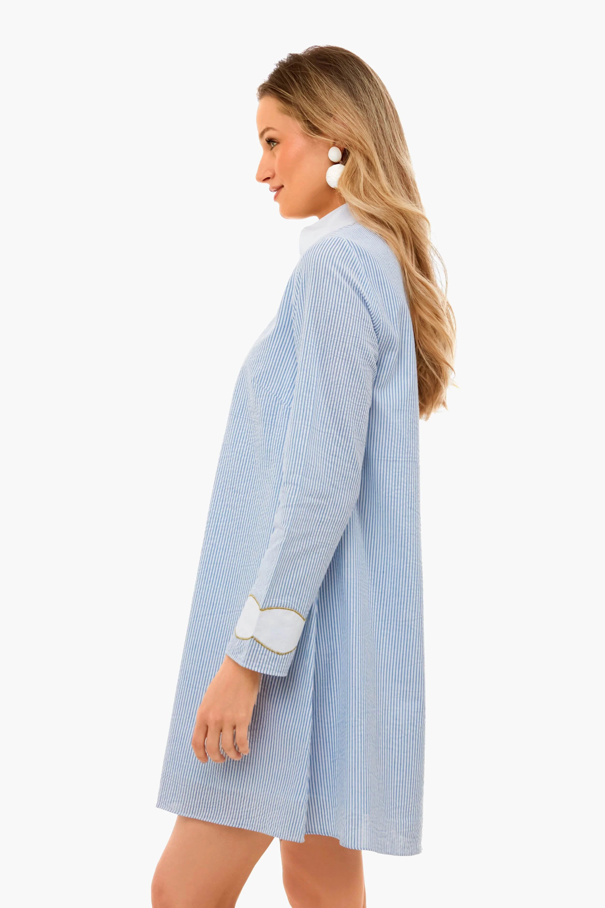 Blue Seersucker Gail Dress
