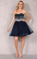 Terani 2027H3393 Dress