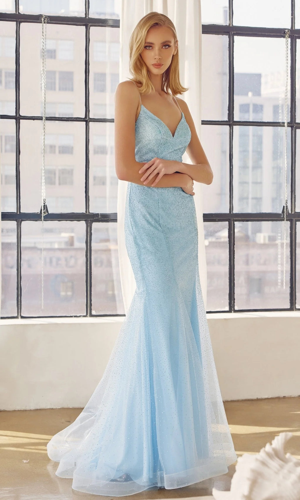 Juliet Long Formal Dress 271