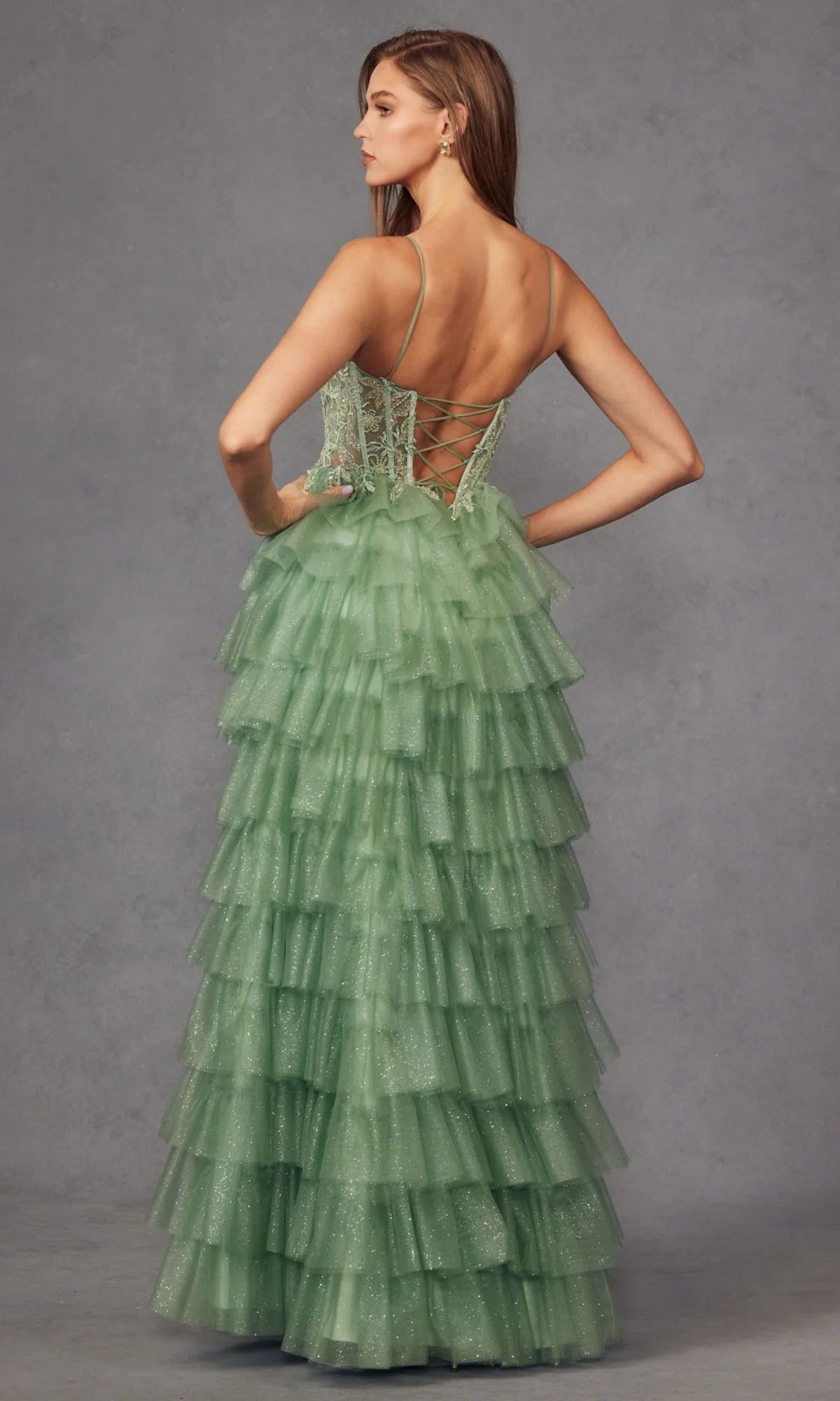 Juliet Long Formal Dress jt2458a